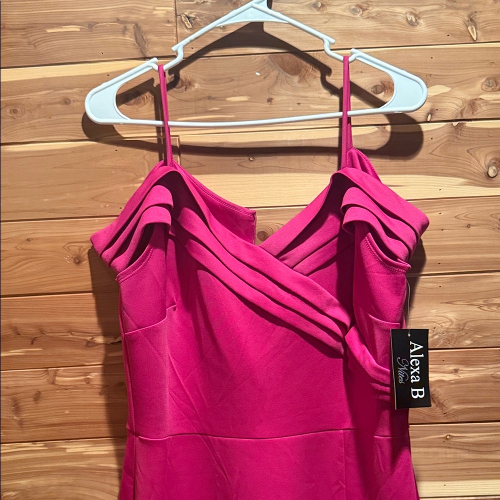 Alexa B Strapless Fuchsia Dress